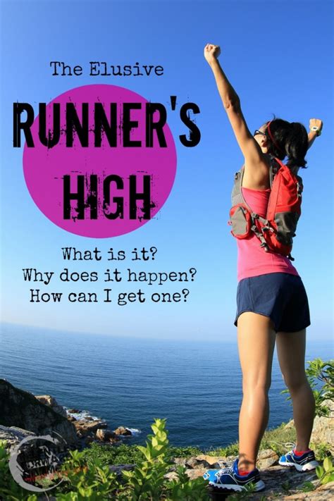 Everything You ve Ever Wanted to Know About Running*: Volume 1 ...