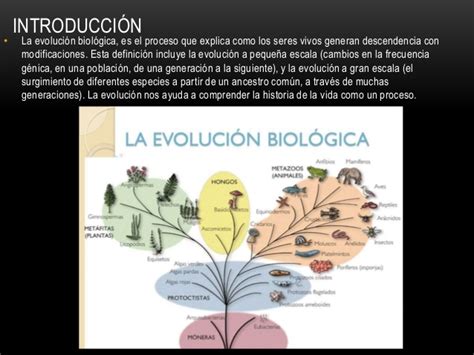 Evolución biológica