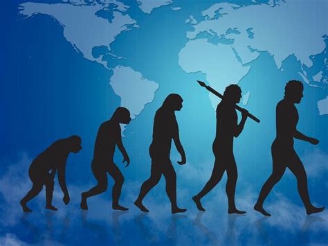 Evolución de la especie humana: guía para entender a los ...