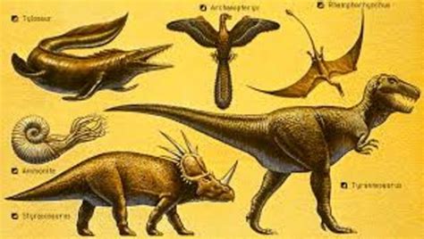 EVOLUCIÓN DE LAS ESPECIES timeline | Timetoast timelines