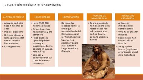 Evolución de los hominidos