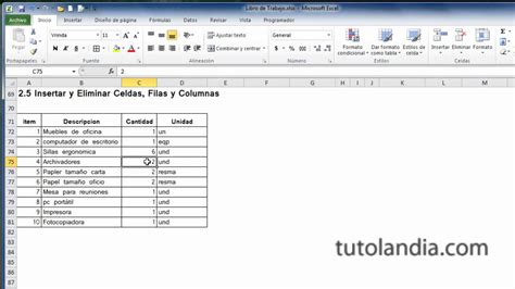 Excel 2010 Basico: 2.5 Insertar y Eliminar Celdas Filas y ...