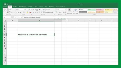 Excel   Modificar tamaño de celdas. Ajustar la celda a la ...