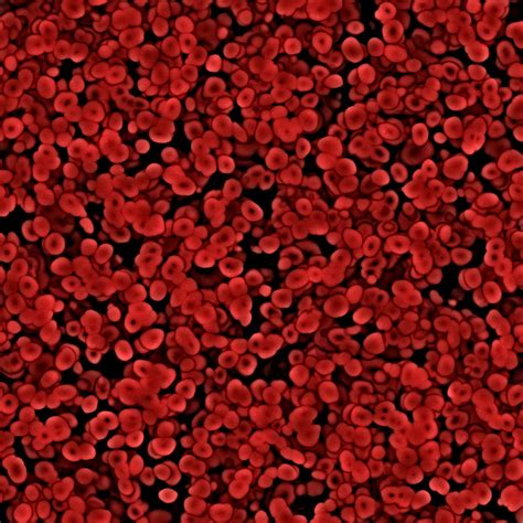 Excellent background image of red blood cells under the ...
