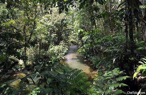 Excursión al Amazonas desde Baños, Ecuador | Vamos?
