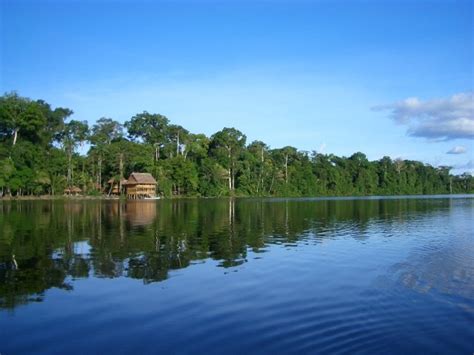 Excursiones especializadas en Leticia Amazonas Colombia ...