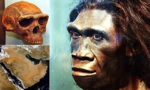¿Existen indicios de que los antecesores del Homo sapiens ...