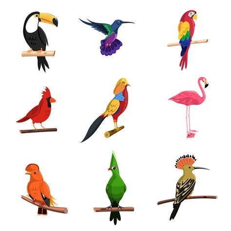 Exotic Birds Set   Download Free Vectors, Clipart Graphics ...
