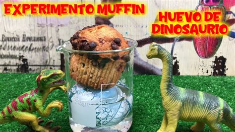 Experimento con huevo de dinosaurio y muffin de chocolate | Vídeos de ...