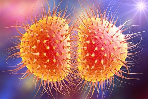 Experts brace for more super resistant gonorrhea | CIDRAP