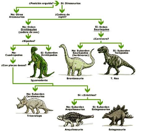 Explicacion De Dinosaurios Para Primaria   SEONegativo.com