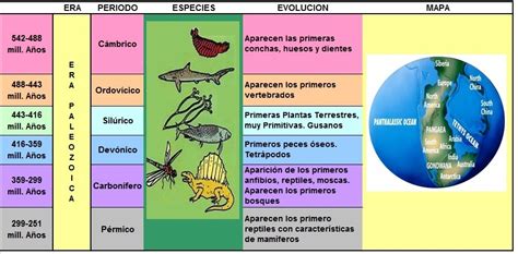 Explicacion De Dinosaurios Para Primaria   SEONegativo.com