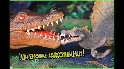 Explorando con Los Dinosaurios para niños Sarcosuchus v/s Spinosaurio ...