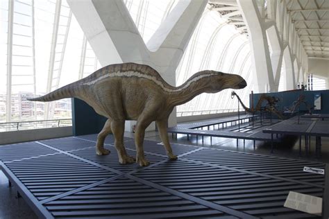 expo dinosaurios 5   Agendainfantil.es