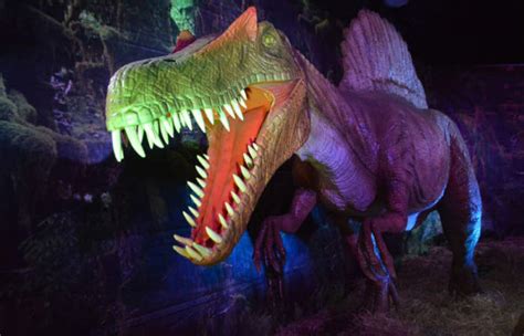 Expo Dinosaurios, la muestra con más de 20 réplicas ...