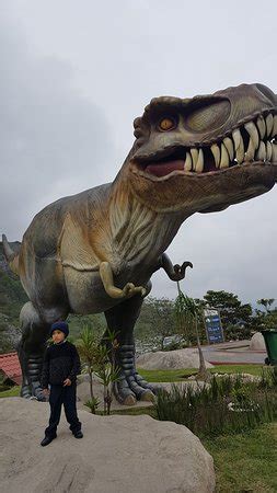 Expo Parque de los Dinosaurios  Orizaba    2018 All You ...
