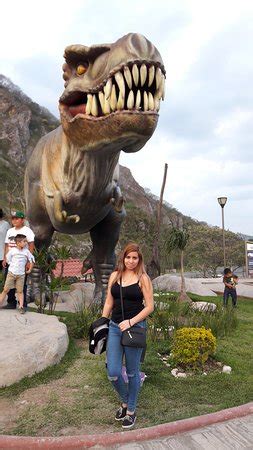 Expo Parque de los Dinosaurios  Orizaba    Lo que se debe ...