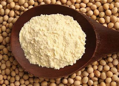 Exportaciones de harina de soja cayeron 10,7% hasta agosto   Paraguay ...