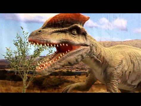 Exposición de Dinosaurios en Mérida   YouTube