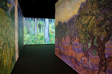 Exposición de Van Gogh llega a Barcelona | All City Canvas