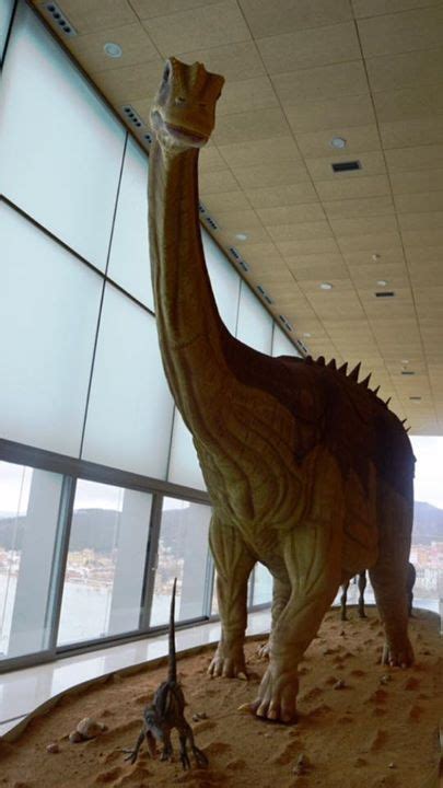 Exposición en el Museo de Paleontología de Cuenca ...