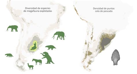 Extinción de la megafauna: los seres humanos tendrían mucha más ...