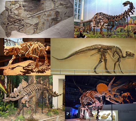 Extincion De Los Dinosaurios Wikipedia   SEONegativo.com