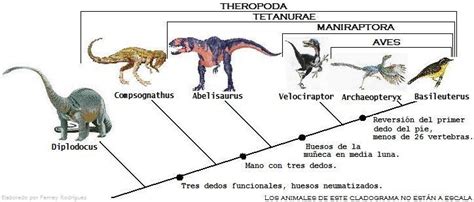 Extincion y Evolucion de los Dinosaurios: Dinosaurios ...