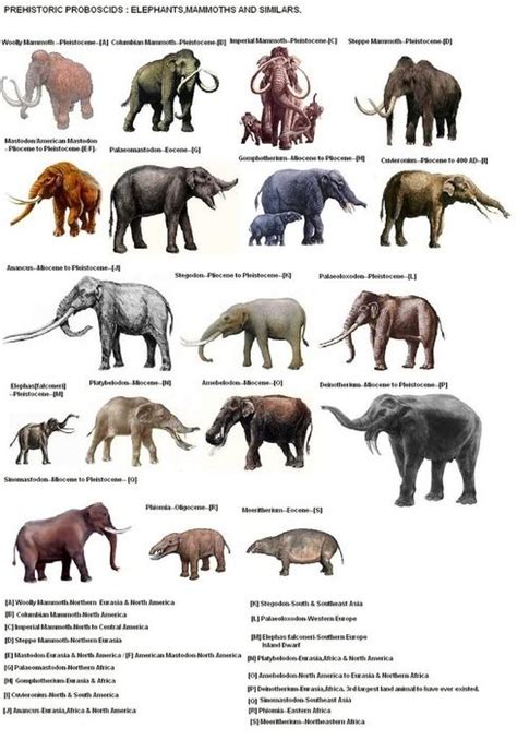 extinct mammals | Extinct animals, Prehistoric animals, Ancient animals