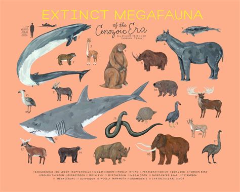 Extinct Megafauna of the Cenozoic Era | Etsy | Megafauna ...