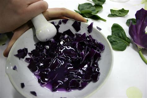 Extracción de pigmentos vegetales | Nuestro Blog de clase.