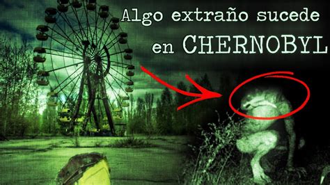 Extraños seres viven en Chernobyl ¿Seres mutantes? Prypiat ...