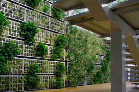 Fachadas Verdes Ecológicas: 30 modelos de projetos incríveis