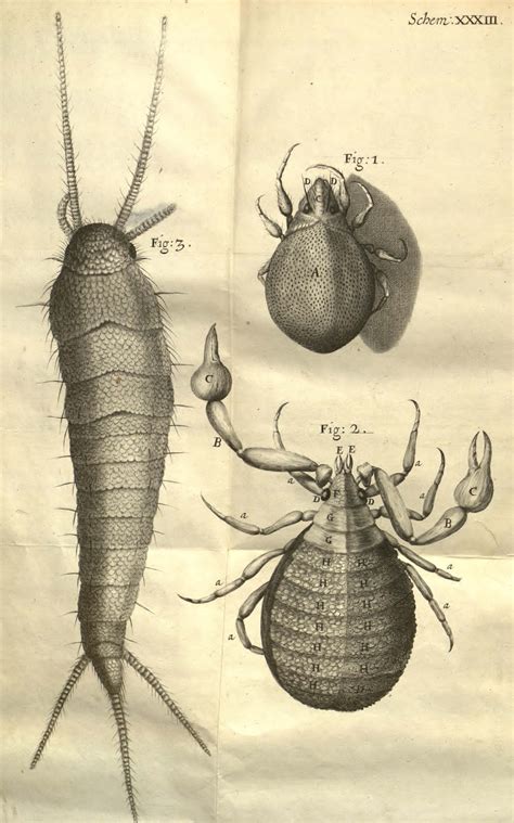 facsimilium: Robert Hooke s Micrographia, 17th Century
