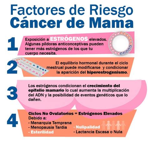 FACTORES DE RIESGO   CANCER DE MAMA