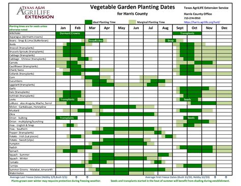 Fall Planting Guide for Houston   Spiked Soil   Texas Planting Guide