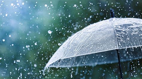 Falling Rain Drops On White Umbrella HD Rain Wallpapers | HD Wallpapers ...