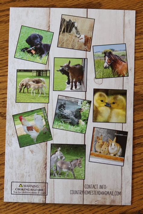 Farm Animal Memory Game 40 pieces 20 sets   Dutchman s Store