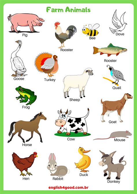 Farm Animals   English4Good   Vocabulary practice | Farm animals ...