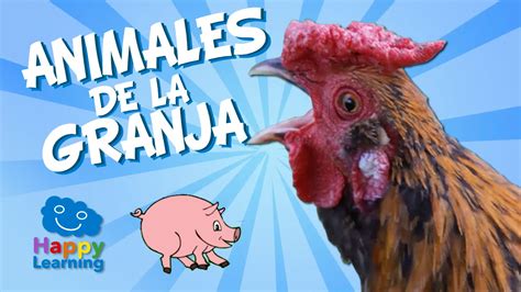Farm Animals for Children | Learn Spanish   YouTube