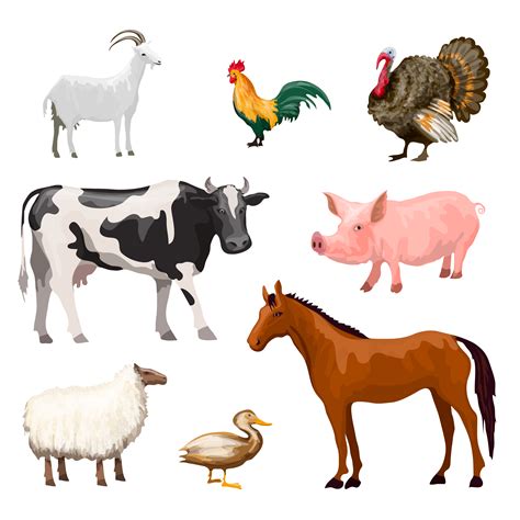 Farm Animals Set   Download Free Vectors, Clipart Graphics ...