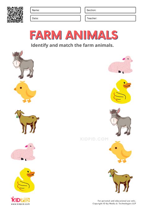 Farm Animals Worksheets for Kindergarten   Kidpid