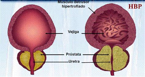 FARMACOS BLOQUEANTES ADRENERGICOS