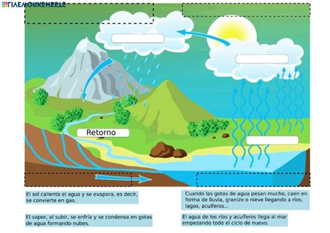 Fases del ciclo del agua   Ficha interactiva