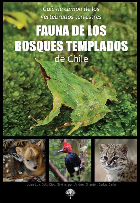 Fauna de los bosques templados de chile guía de campo  2011  by ...