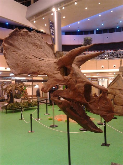 Fauna Salvaje: Exposición de dinosaurios Dinópolis