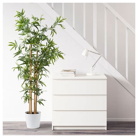 FEJKA Planta artificial   bambú   IKEA | Plantas artificiales ...