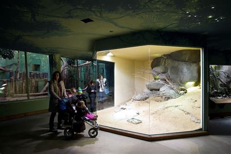 Feline and reptile pavilion   Praha Zoo  con imágenes ...