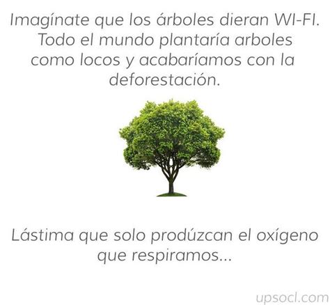 Felipe E. Iglesias on Twitter:  Imagínate que los árboles ...