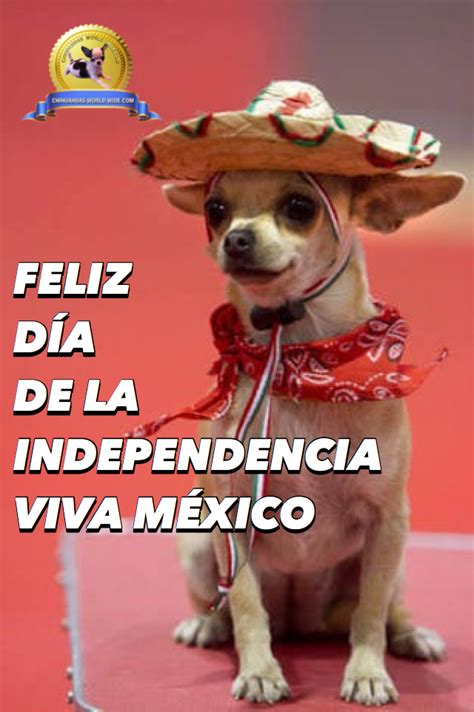 FELIZ DÍA DE LA INDEPENDENCIA VIVA MÉXICO – Chihuahuas ...